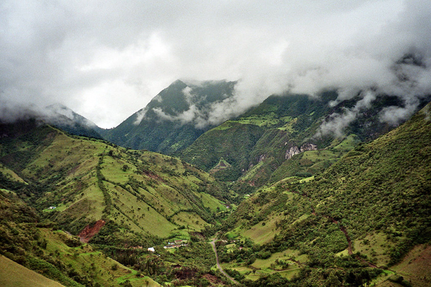 Cloud forest near Mindo, Ecuador. Photo by Ayacop (Own work) [Public domain], via Wikimedia Commons